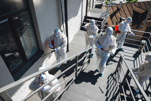 Best Mold Remediation for Healthcare Facilities  in Atlantis, FL