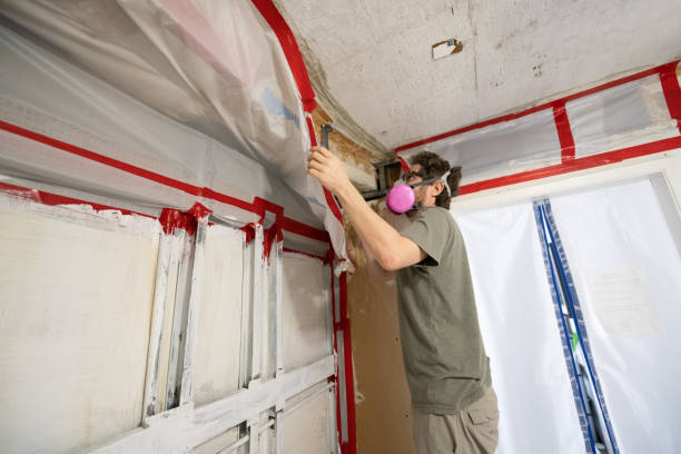 Best Mold Removal for HVAC Installations  in Atlantis, FL