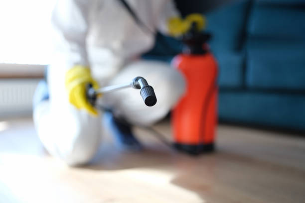 Best Residential Mold Inspection & Testing  in Atlantis, FL