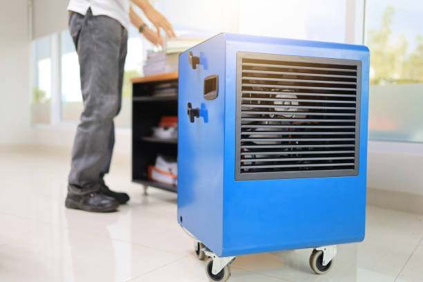 Best Mold Remediation for Healthcare Facilities  in Atlantis, FL