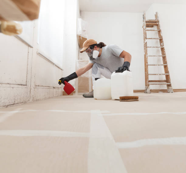 Best Attic Mold Removal  in Atlantis, FL